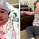 17 Bebês que parecem já ter nascido com 50 anos ou mais