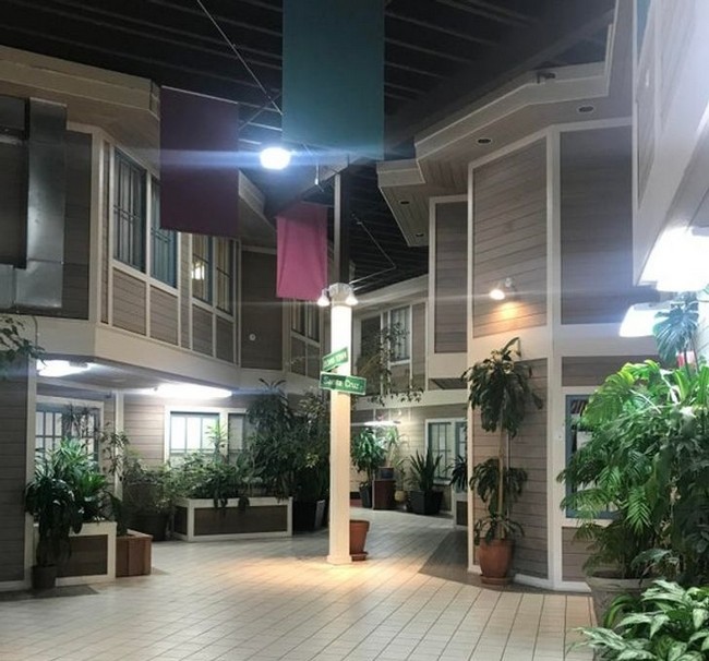 15 Designers que beberam com vontade da fonte da criatividade