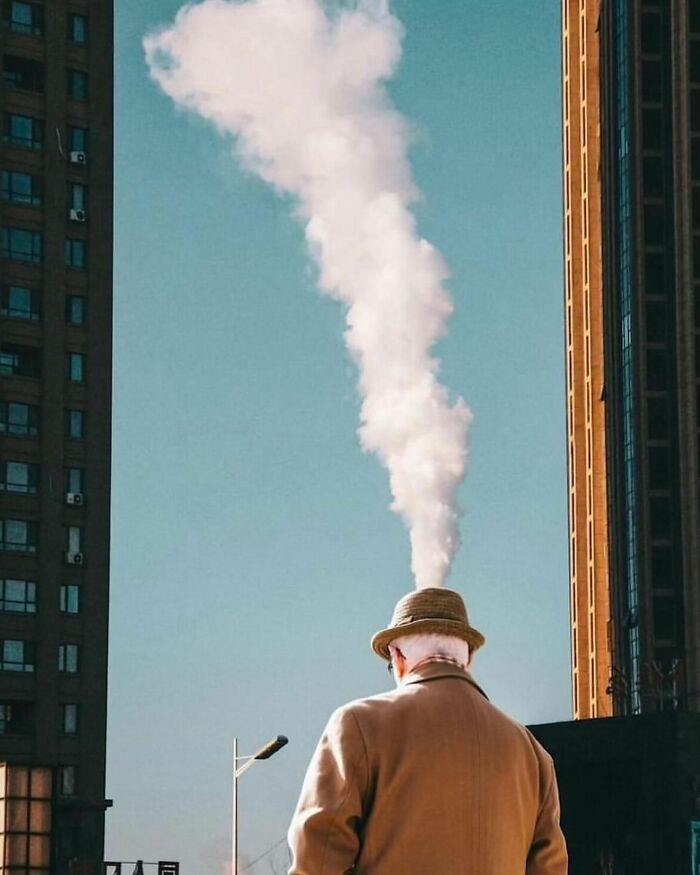 15 Fotos que não poderiam ter sido tiradas em um momento melhor